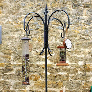 Four Way Crook Black Steel Birdfeeder by The Orchard