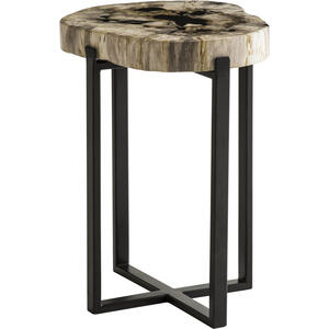 Petrified wood side table  by Andrew Martin