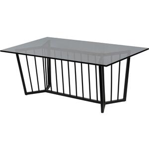 Binton Black Frame & Tinted Glass Rectangular Coffee Table